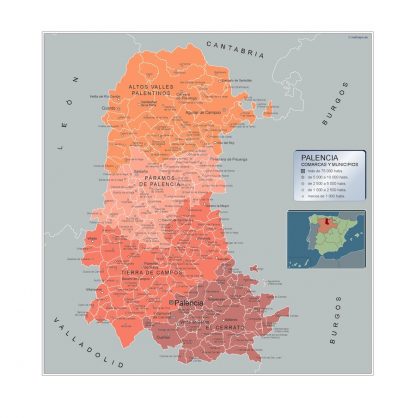 Mapa Palencia por municipios enmarcado plastificado